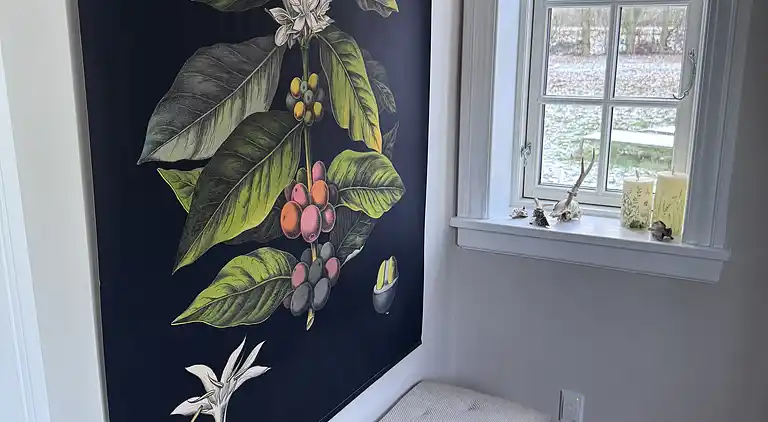 Helt uforstyrret sommerhus i idylliske omgivelser