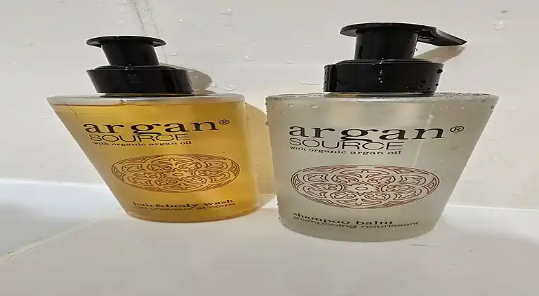 Apartment in Mont-Dore