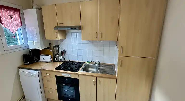 Apartment in Mont-Dore