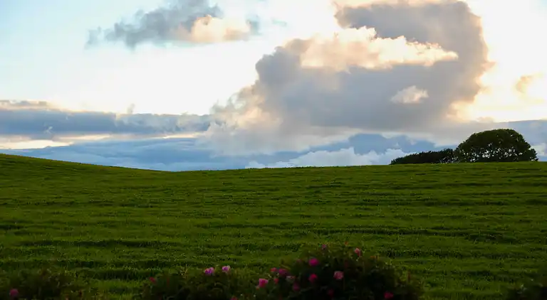 Hyggeligt sommerhus med havudsigt