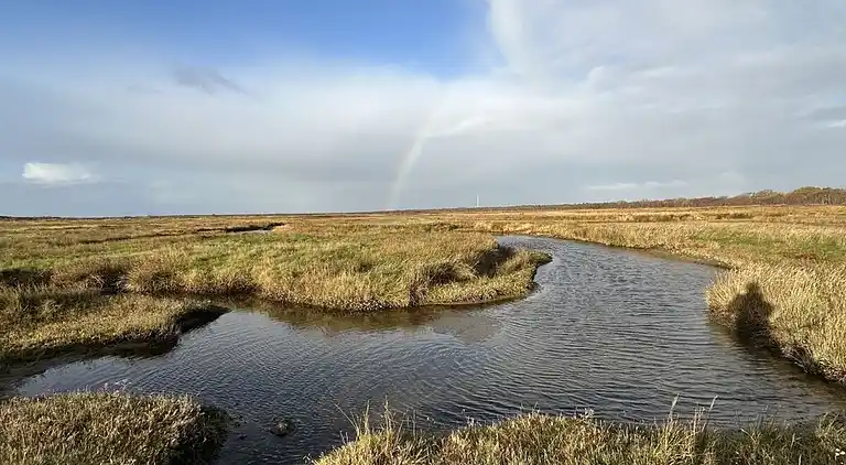 Vakantiehuis in Borkum