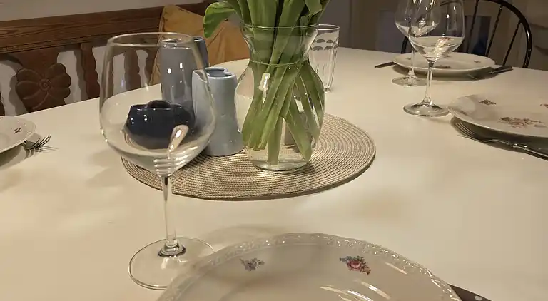 Schönes neues Ferienhaus mit aussen whirlpool