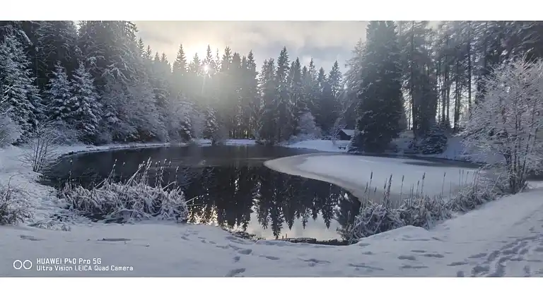Ferienwohnung in Möhrenbach