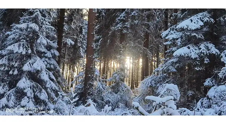 Ferienwohnung in Möhrenbach