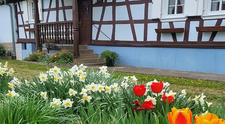 Feriebolig i Wissembourg