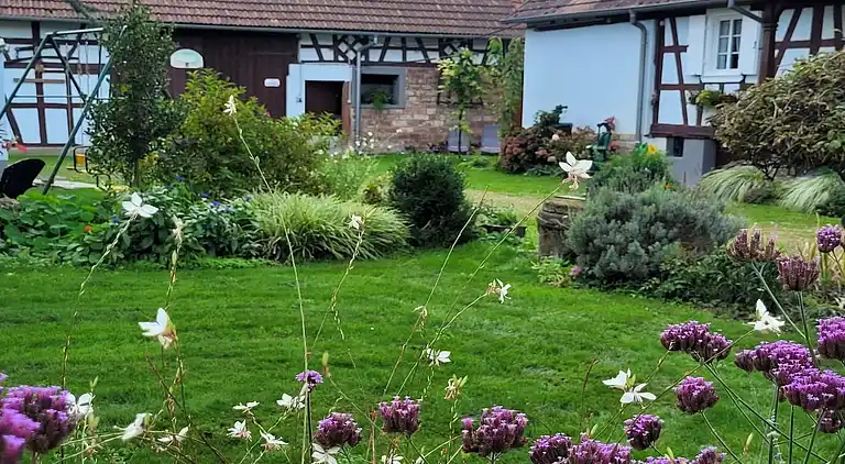 Feriebolig i Wissembourg