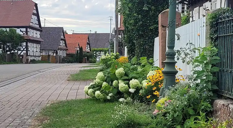 Feriebolig i Wissembourg