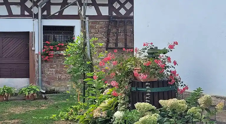 Feriebolig i Wissembourg