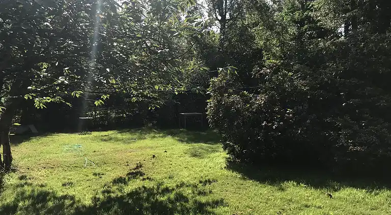 Hyggeligt sommerhus med skøn terrasse