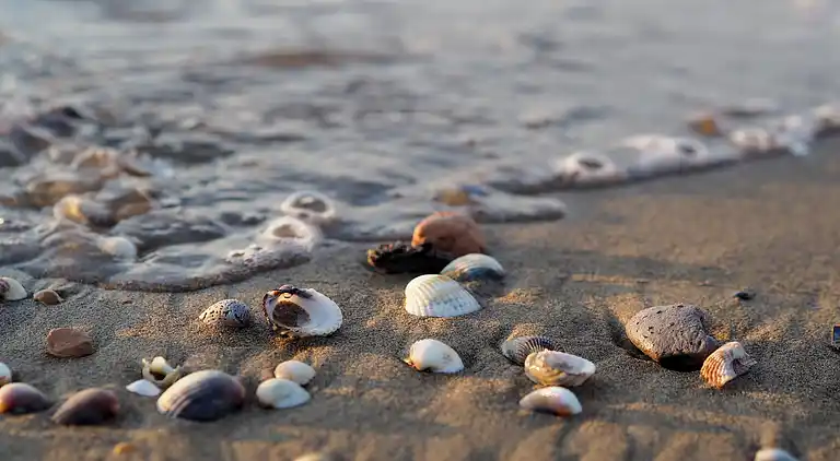Terraced house with garden