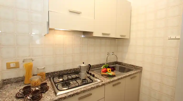 Terraced house with garden