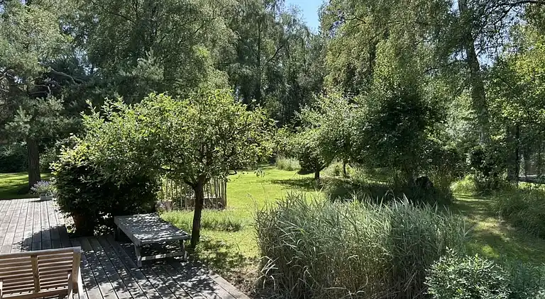 Skønt sommerhus med anneks og gode faciliteter
