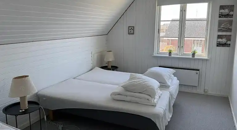 Robbensafari, Austern-Safari und Wassersport