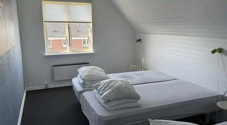 Robbensafari, Austern-Safari und Wassersport