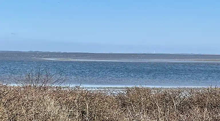 Robbensafari, Austern-Safari und Wassersport