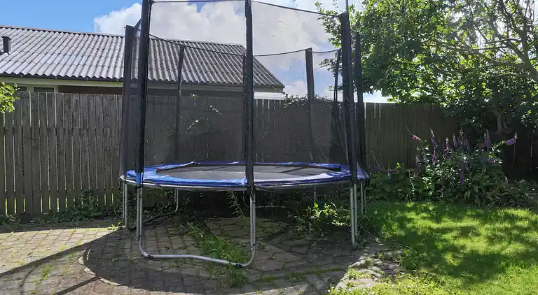 Robbensafari, Austern-Safari und Wassersport