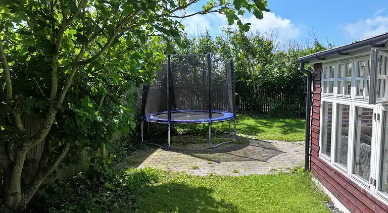 Robbensafari, Austern-Safari und Wassersport