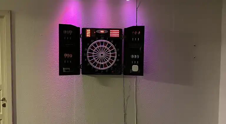 Robbensafari, Austern-Safari und Wassersport