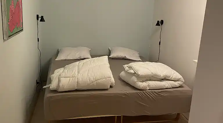 Robbensafari, Austern-Safari und Wassersport