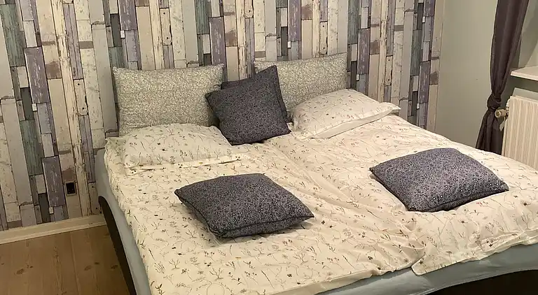 Robbensafari, Austern-Safari und Wassersport