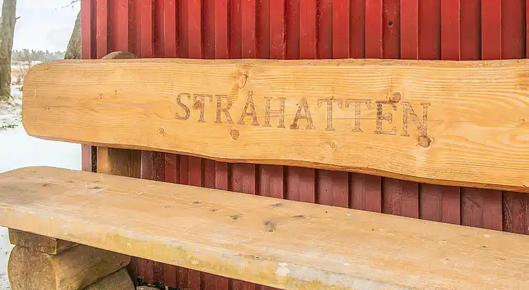 Feriebolig i Blåvand