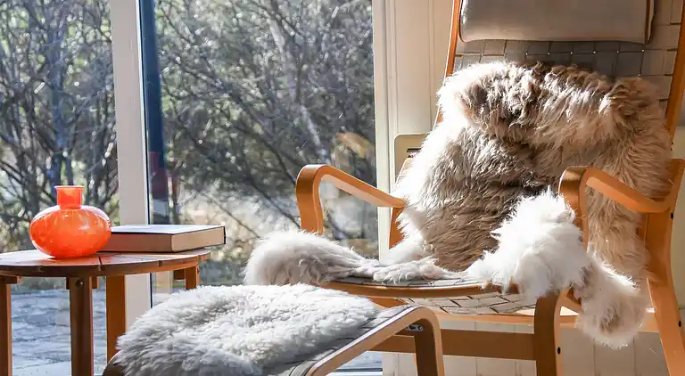 Feriebolig i Nørre Fjand