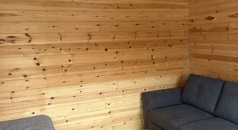 Strandnært hyggeligt sommerhus med vildmarksbad