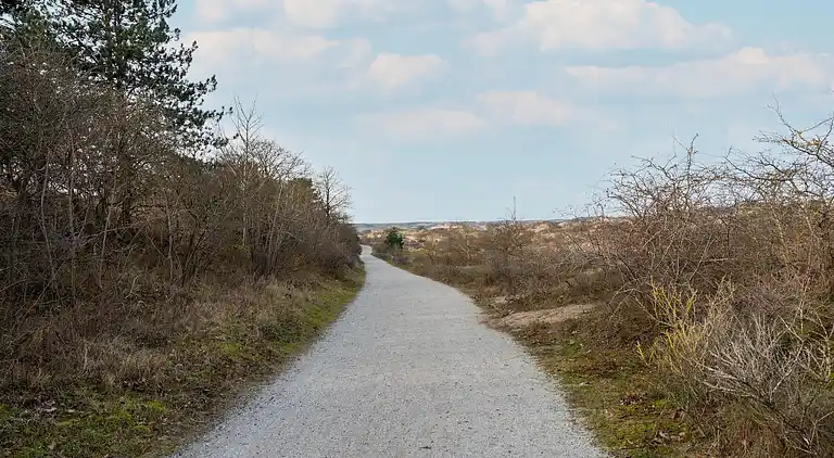 Sommerhus i Zuid-Holland