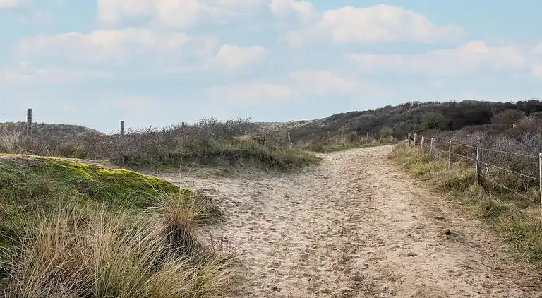 Sommerhus i Zuid-Holland