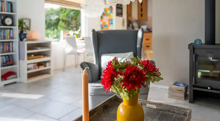 Sommerhus i Zuid-Holland