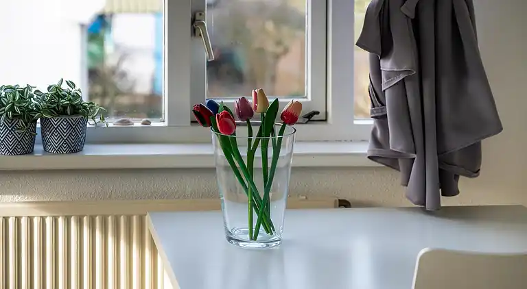 Sommerhus i Zuid-Holland