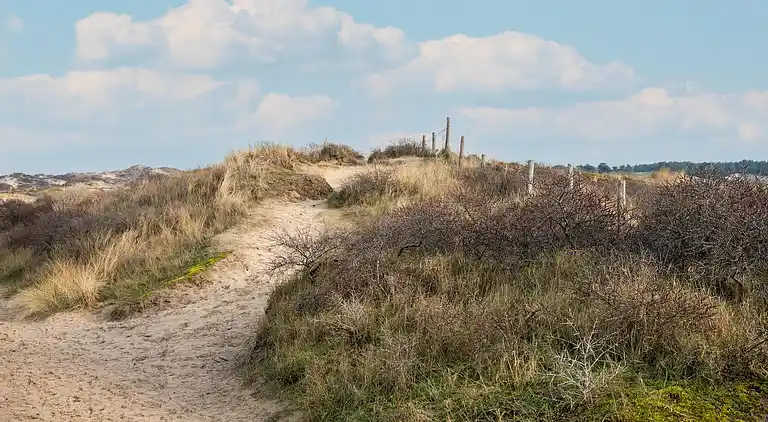 Sommerhus i Zuid-Holland
