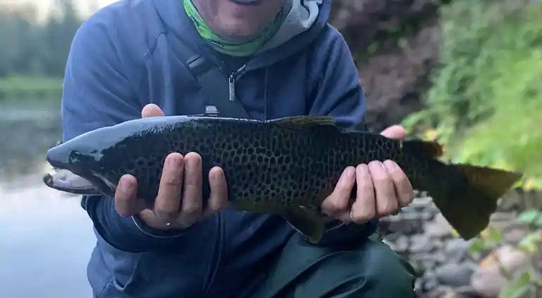 Off Grid bei Fjätälven