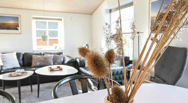 vakantiehuis in Ulfborg