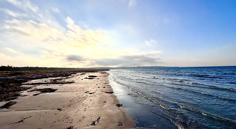 Modernes Ferienhaus mit Badezuber und Natur