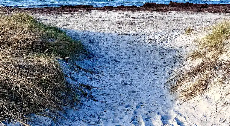 Modernes Ferienhaus mit Badezuber und Natur