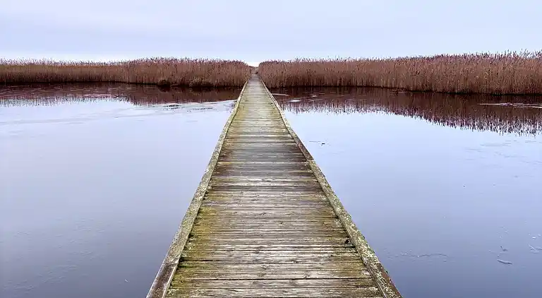 Modernes Ferienhaus mit Badezuber und Natur