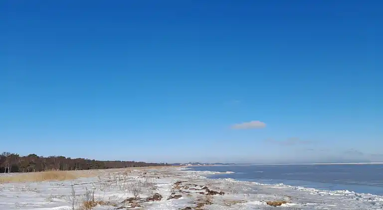 Ferienhaus mitten im Wald, nah am Wasser.