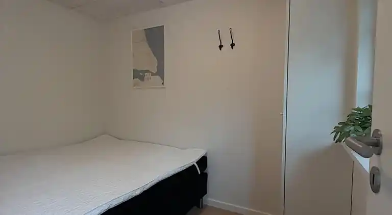 Ferienhaus mitten im Wald, nah am Wasser.