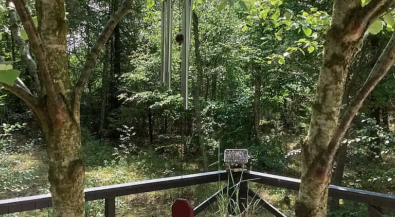 Ferienhaus mitten im Wald, nah am Wasser.