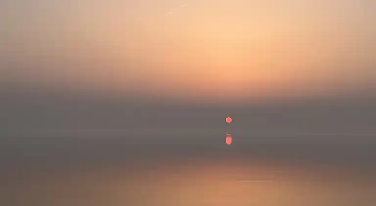 Ruhe, Natur, Schutz und Blick über den Fjord