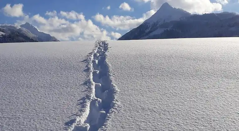 Apartment in Altenmarkt im Pongau