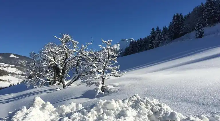 Apartment in Altenmarkt im Pongau