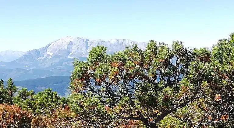 Apartment in Altenmarkt im Pongau