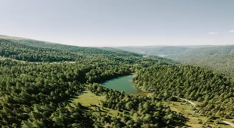 Cottage in Moarschaft