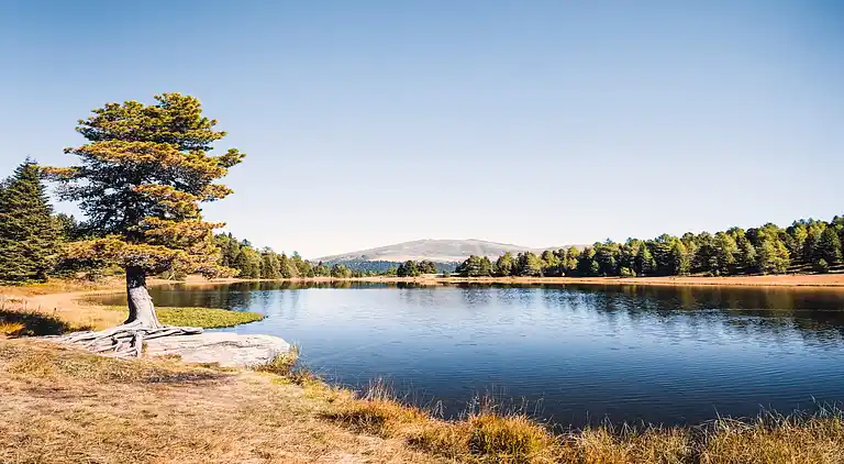 Cottage in Moarschaft