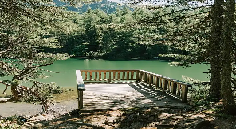 Cottage in Moarschaft