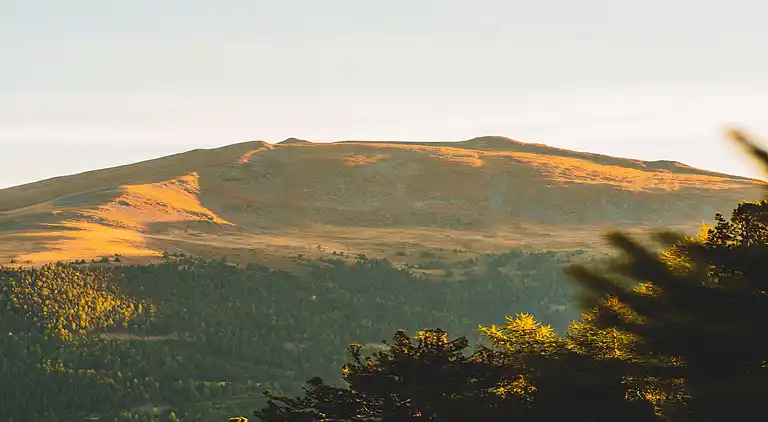 Cottage in Moarschaft