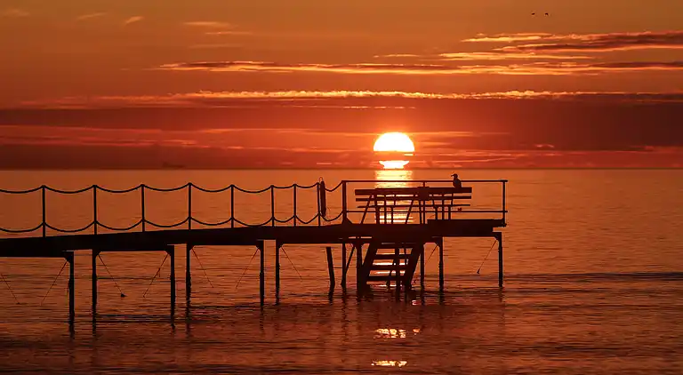 Strandhus til 9 personer – 400 m til stranden