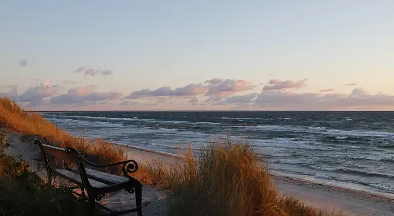 Strandhus til 9 personer – 400 m til stranden
